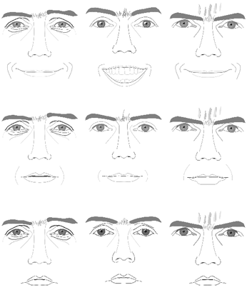 Feld der Alltagsgef&uuml;hle